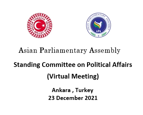 APA Standing Committee on Political Affairs 2021